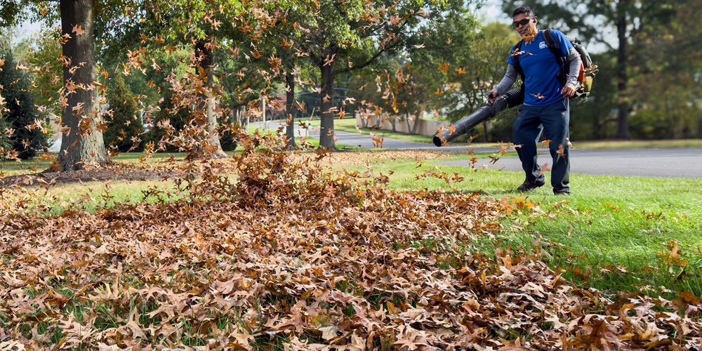 features-img-fall-cleanup-1000