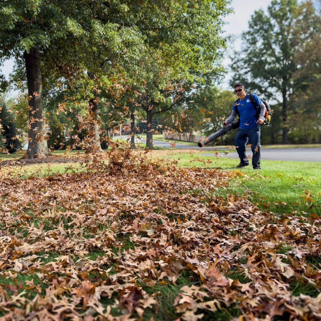 features-img-fall-cleanup-1000