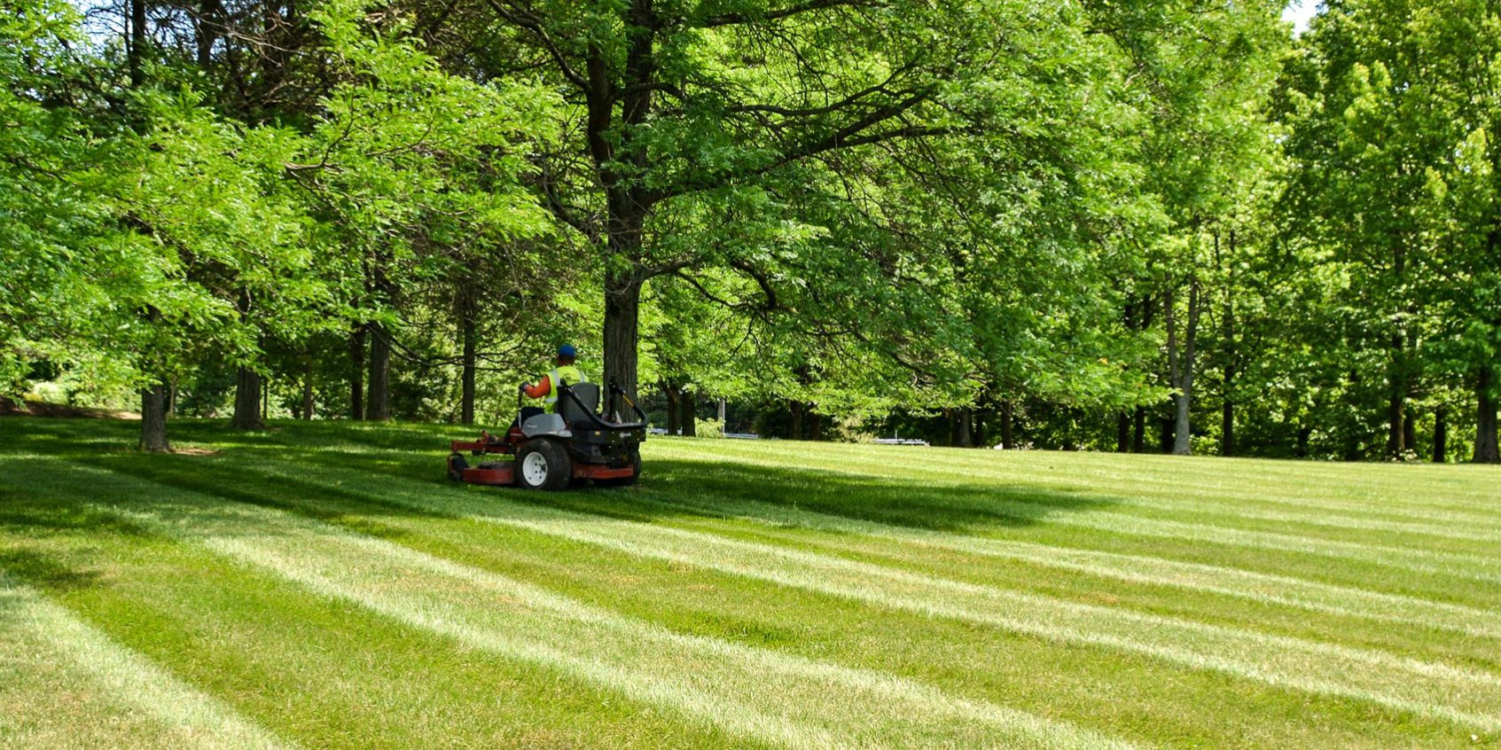 slider-main-turf-lawn