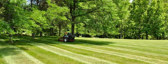 slider-main-turf-lawn