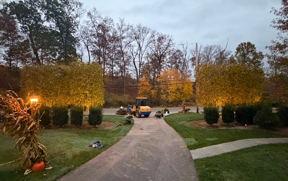 Snow-ready outdoor lighting near driveway and entryway