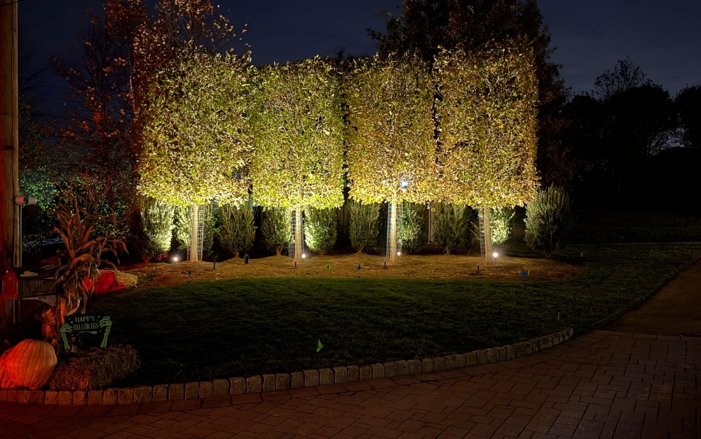 exterior lighting in fall large estate