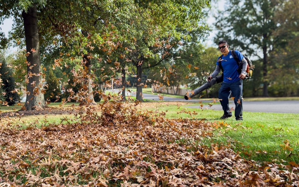 Professional crew doing spring cleanup in Bucks County