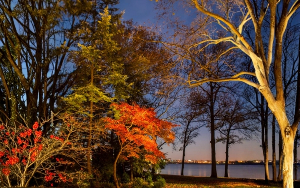 5 fall exterior lighting installers