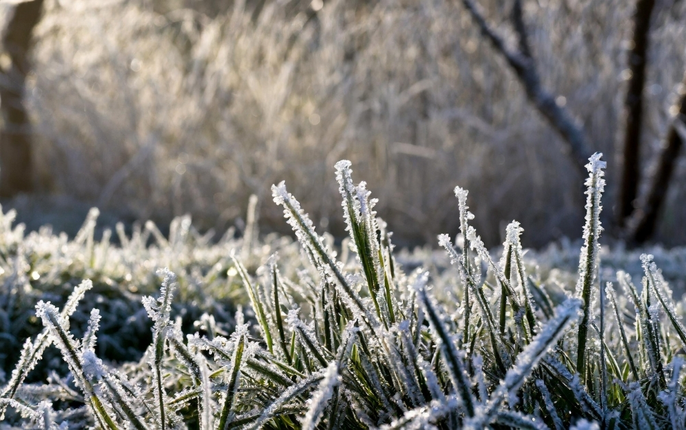 8 Winter landscape preparation with irrigation system inspection