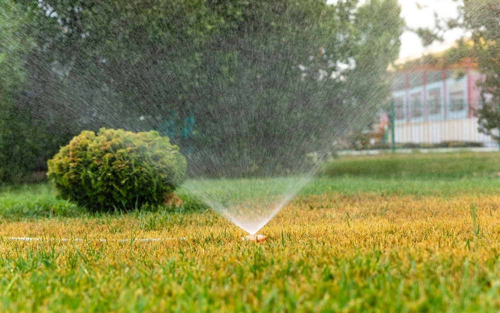 sprinkler system