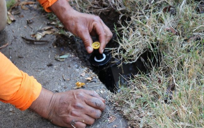sprinkler installation grass