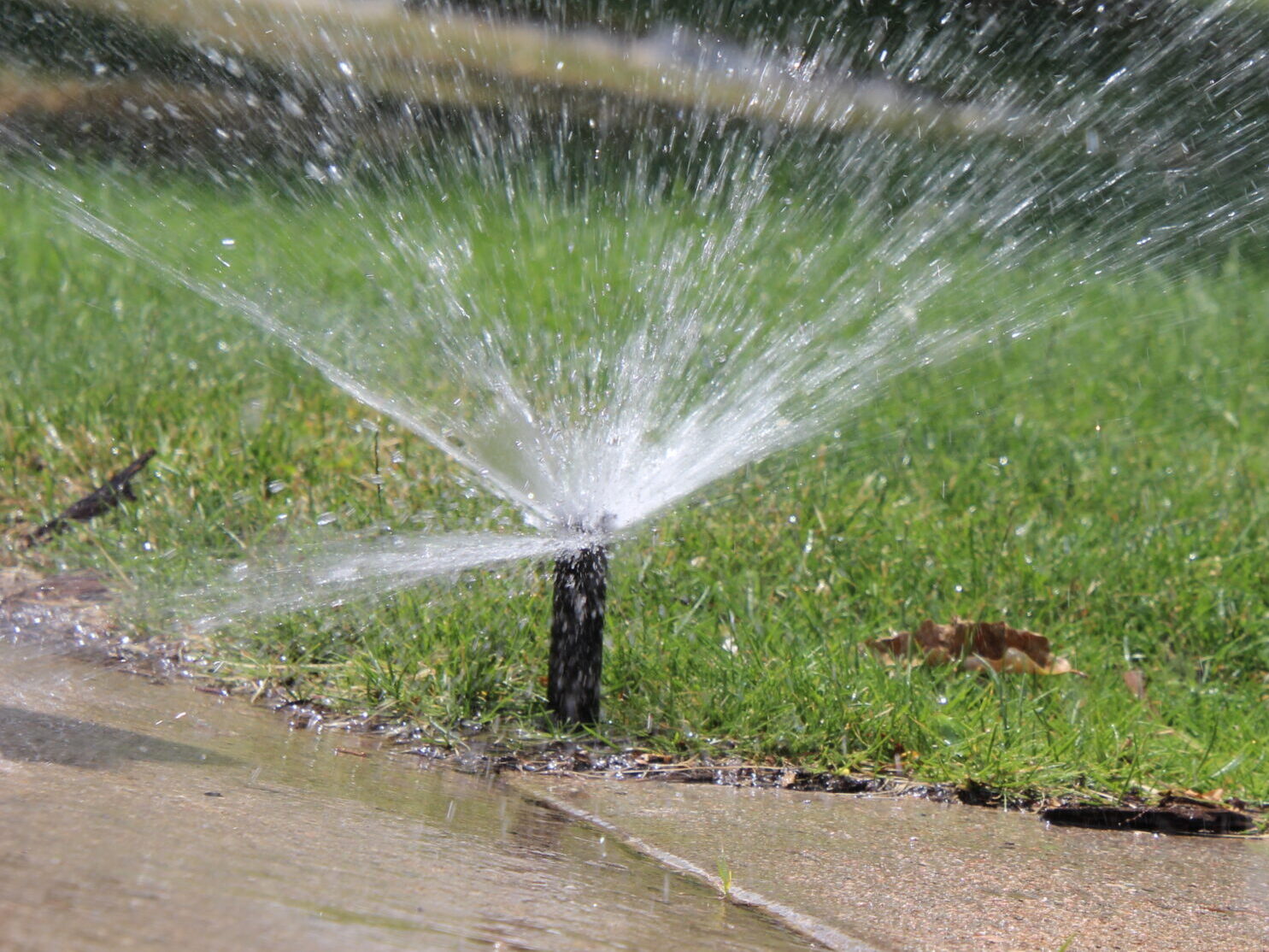 Broken-sprinkler-scaled-e1737761670908