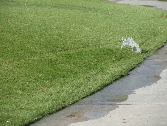 Cracked sprinkler head pulled from a Bucks County lawn after a winter freeze