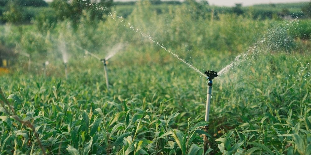 sprinklers irrigation