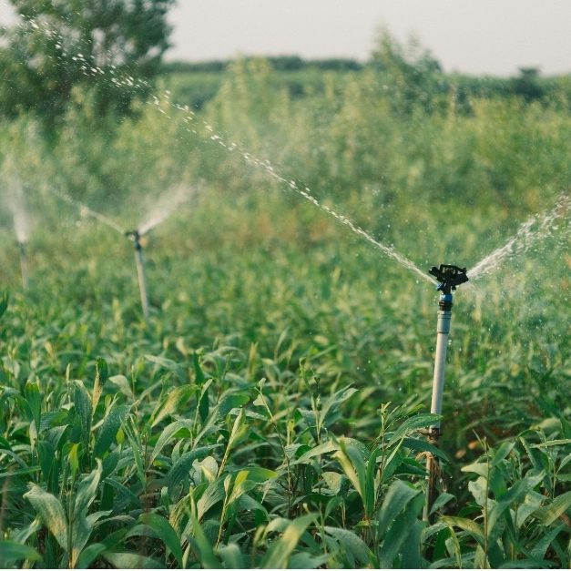 sprinklers irrigation