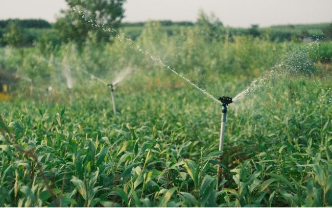 sprinklers irrigation