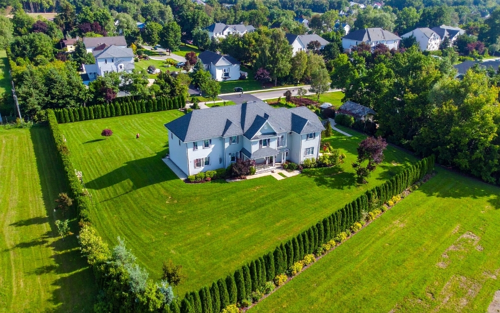 large tree landscaping