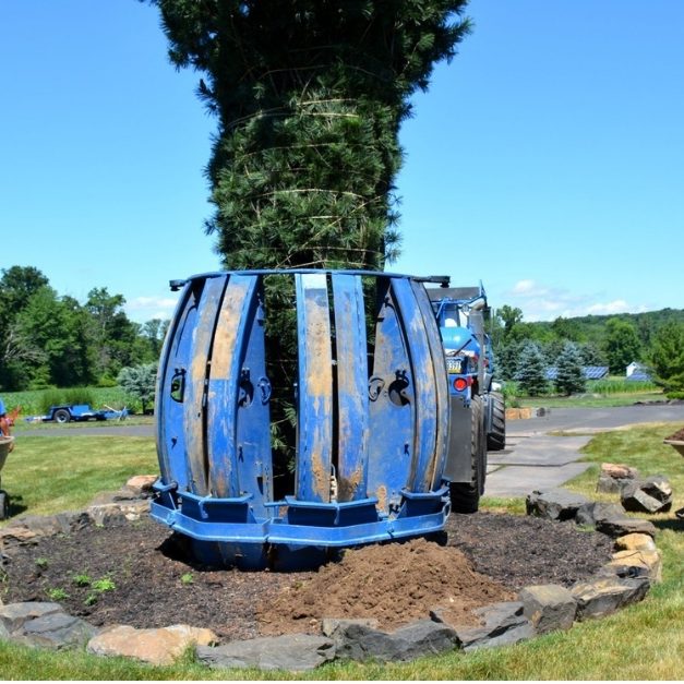 hydraulic tree spade (3)