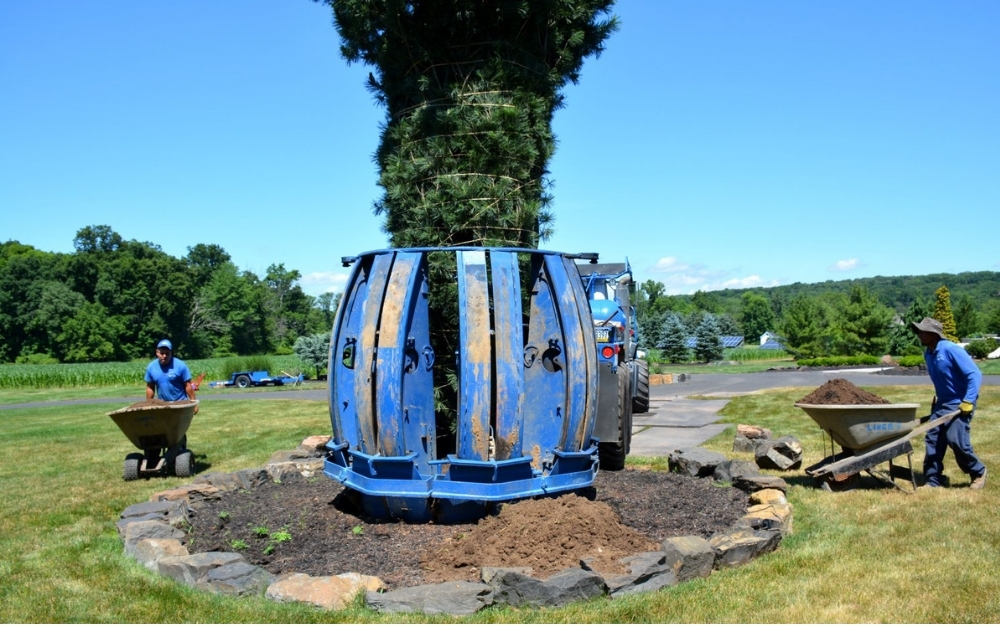 hydraulic tree spade (3)