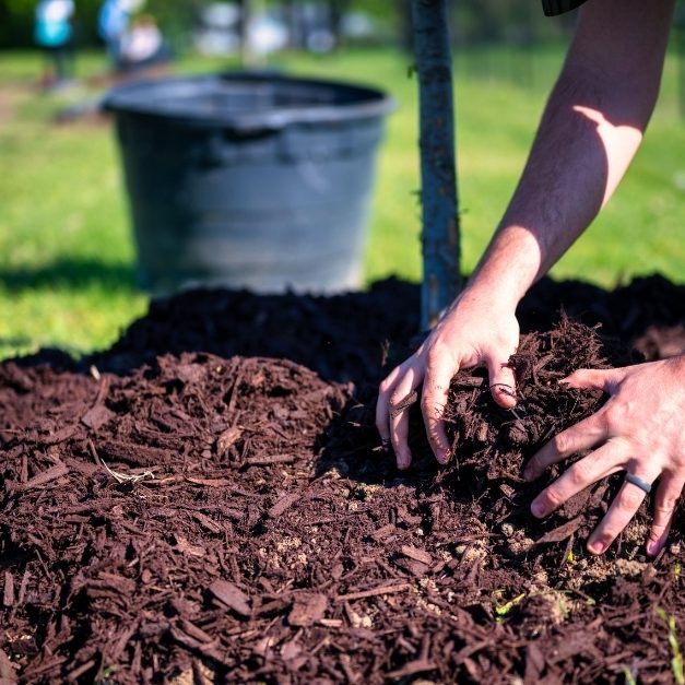 mulching