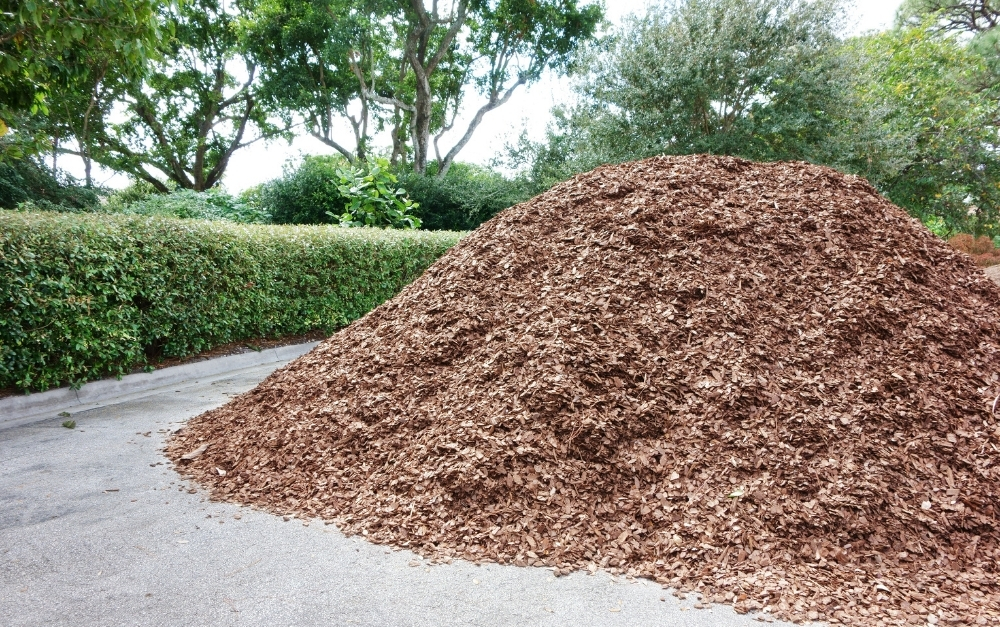mulch pile