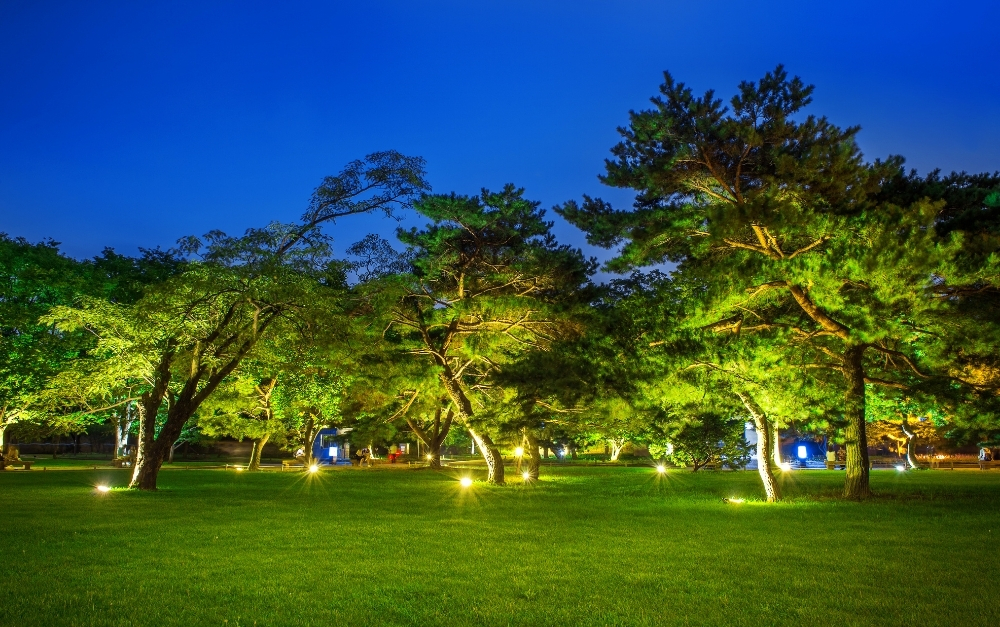 A perfectly balanced landscape lighting system illuminating trees and architectural stone work