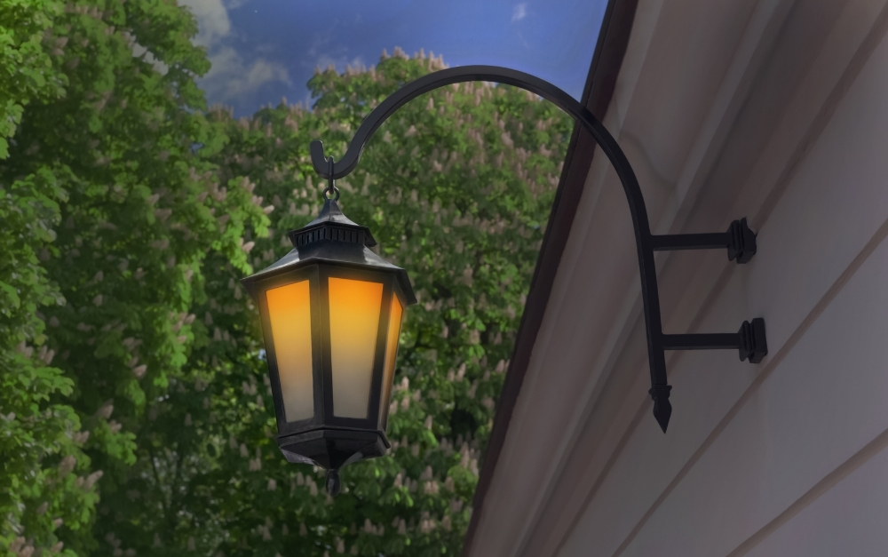 Warm, expertly designed landscape uplighting highlighting mature backyard trees at night