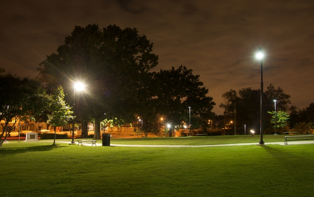 Low voltage path lights lining a walkway at a Doylestown, Bucks County property