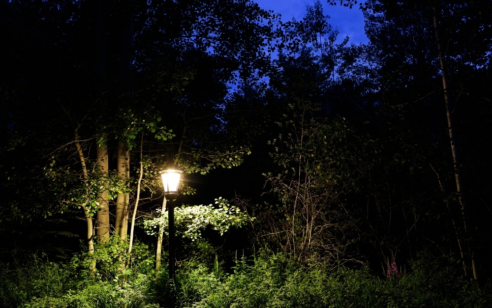 Professionally designed landscape lighting system illuminating a Warrington PA backyard patio