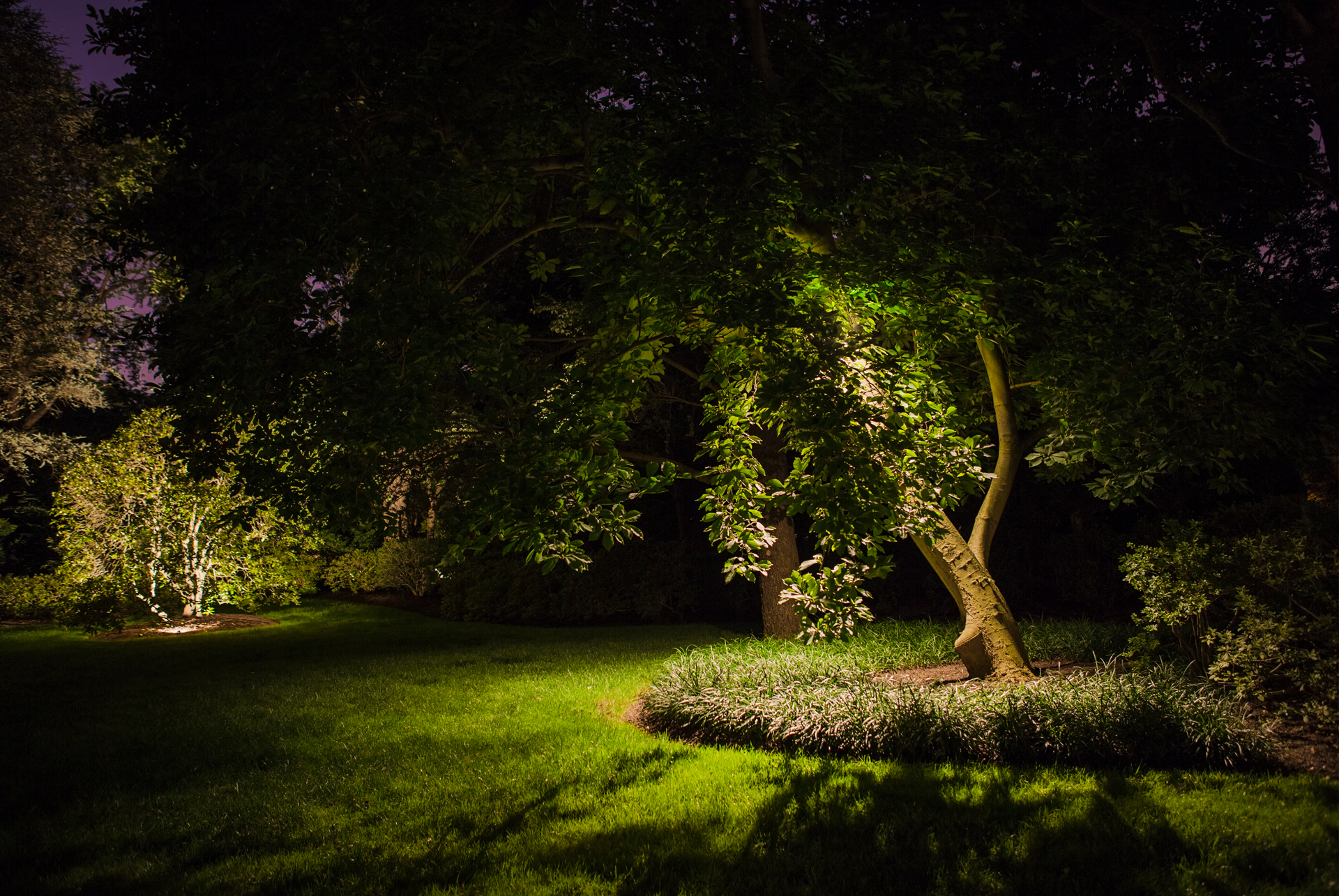 Low-voltage outdoor lighting illuminating a landscaped walkway in Chalfont, PA